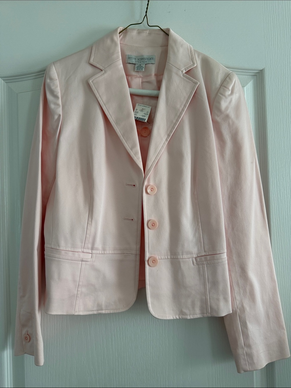Petite Sophisticate Pale Pink Tailored Blazer